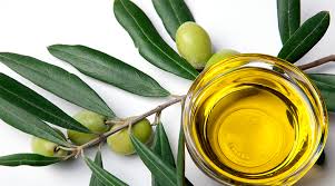 Green Tea Extract & Olive Leaf